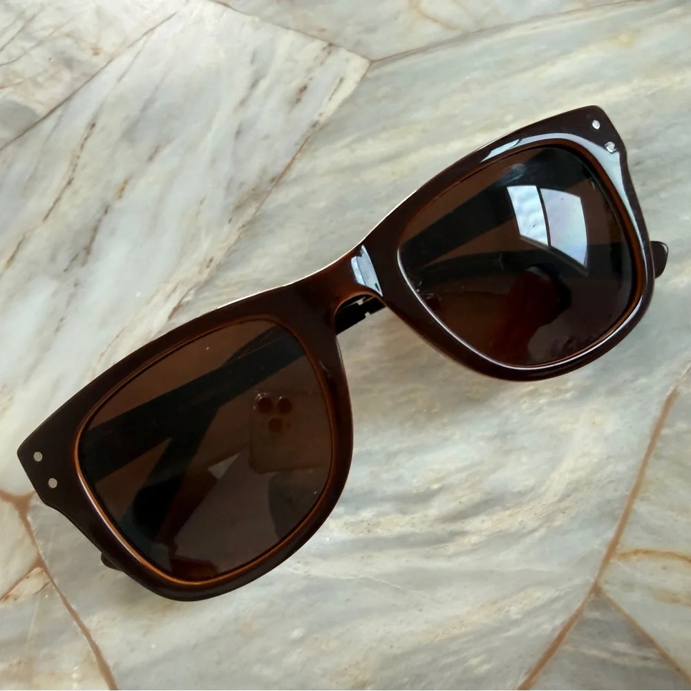 Classic Men's Wayfarer Sunglasses in Dark Brown